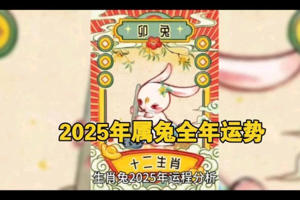 生肖星座运势2025年运程 2025运势12生肖运势