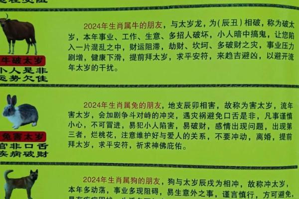 1964年12月出生属龙吗甲辰年生肖年份对照解析