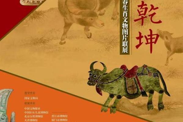 头头是道是什么生肖(班马的脑袋头头是道是什么生肖)