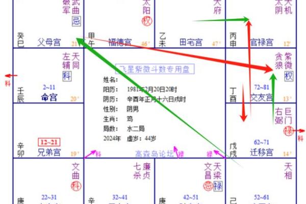 地空在疾厄宫命理解析与运势影响