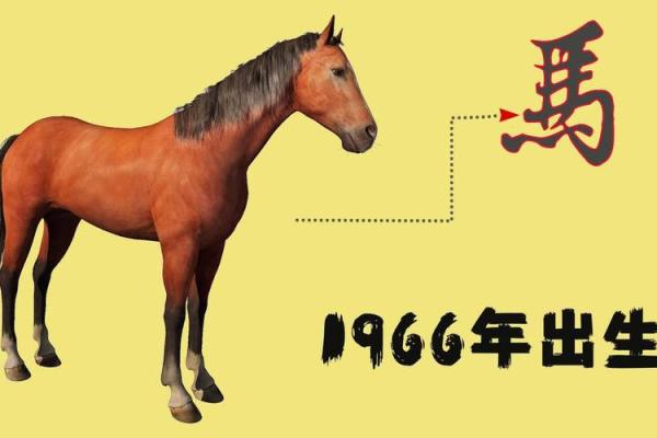 1966年属马的男人一生运势_1966年属马的男人多大寿命