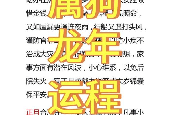 1982年属狗男2025年每月运势详解及运程分析