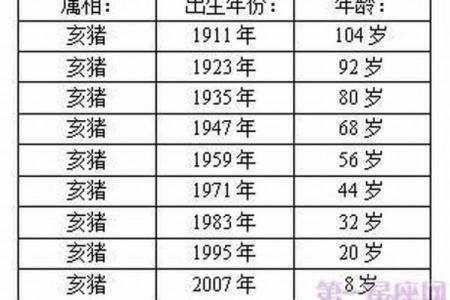 95年属猪男2025年适合结婚吗(95年属猪男2025年适合结婚吗为什么)