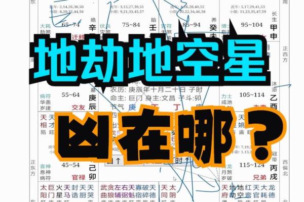 地空在福德宫是有因果_地空在福德宫什么意思