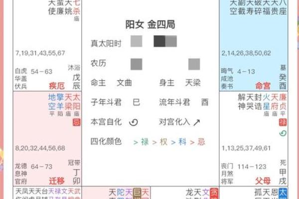 2025年2月23日丑时女命紫微斗数全解盘