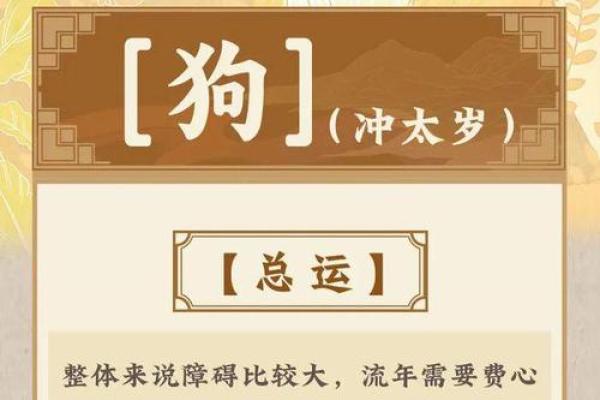 2025年属狗的全年运势_2025年属狗全年运势详解财运事业感情全面解析