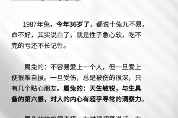 87年属兔男2025年运势_2025年属兔男运势详解87年兔男未来运势大揭秘