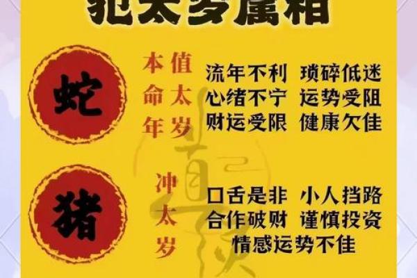 1988属龙2025年的运势及运程 1988年属龙人2024年运势