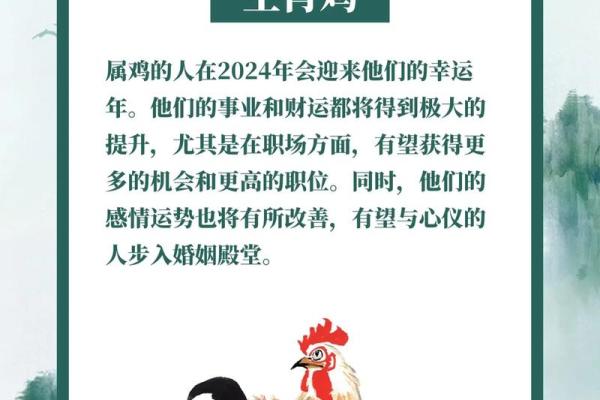 81年属鸡人2025年运势_05属鸡2025年的运势及运程