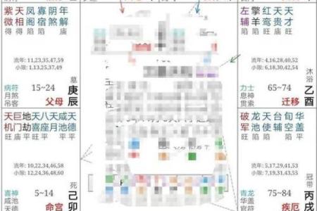 2025年2月24日寅时女命紫微斗数全解盘