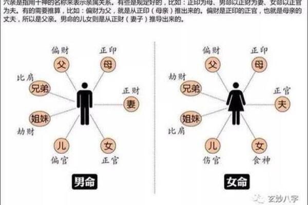 夫妻宫天喜 夫妻宫天喜揭秘婚姻幸福的命理奥秘