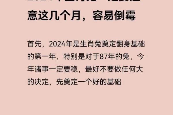 属兔2025年全年运势及运程_2025年属兔运势及运程1975年生人
