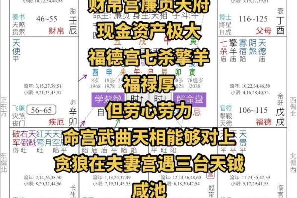 2025年3月11日寅时女命紫微斗数全解盘