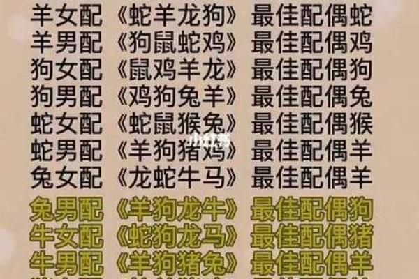 95属猪男今年的姻缘_95年猪男今年姻缘
