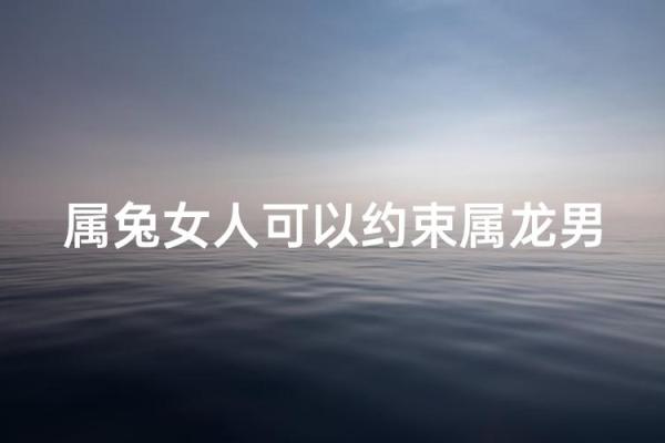 1988年2月13日属龙还是属兔_阳历1988年2月13日属龙还是属兔