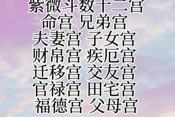 2025年3月30日丑时男命紫微斗数全解盘