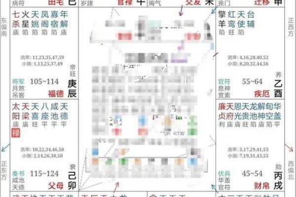 2025年2月15日丑时男命紫微斗数全解盘