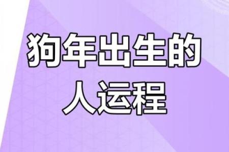 属狗人2025年全年运势及运程 2025年属狗人全年运势详解运程大揭秘