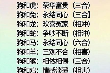 属狗的最佳配偶属相揭秘最配生肖组合
