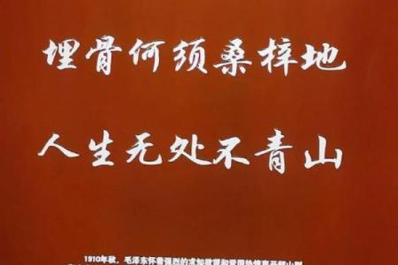 大江东去打一生肖