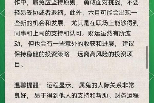 2025年属兔人年龄揭秘你今年多大了