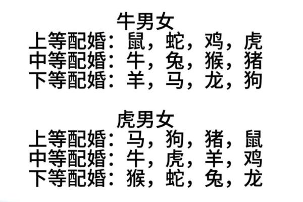 1988戊辰龙年婚配指南农历生辰月最佳生肖配对表