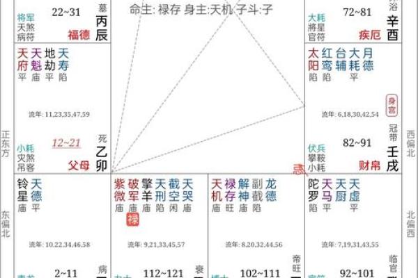 夫妻宫化忌入疾厄_夫妻宫化忌入疾厄宫是真爱吗