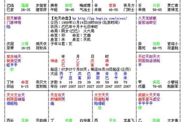 2025年2月19日子时男命紫微斗数全解盘