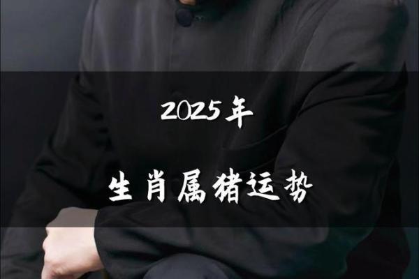2025属猪人的全年运势如何1971 2025属猪人的全年运势如何宋韶光