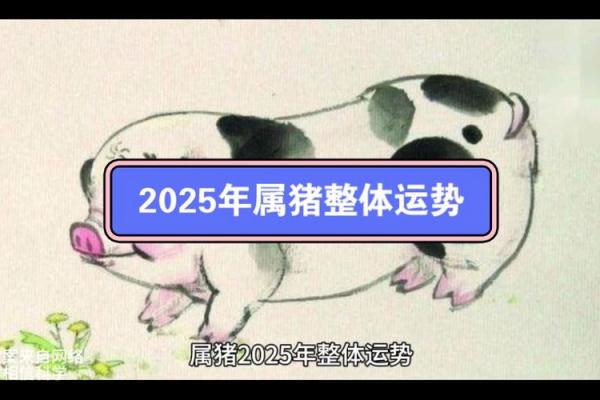 1983年属猪2025全年运势 1983属猪2025全年运势运程