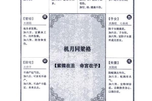 2025年2月22日子时女命紫微斗数全解盘