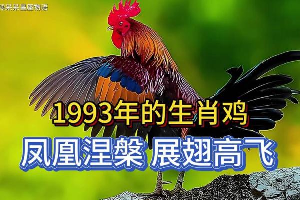 1993年属鸡2025年运势完整版_1993年属鸡2025年运势详解事业财运健康全解析