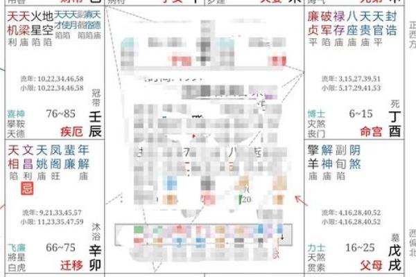 夫妻宫廉贞自化忌_夫妻宫廉贞自化忌看婚姻大限