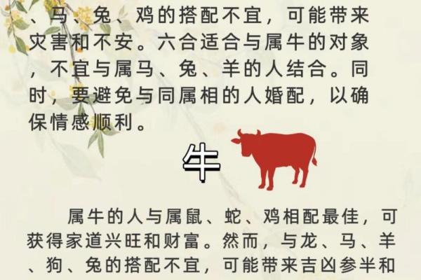 母亲属牛孩子属龙好吗_母亲属牛孩子属龙好吗 自从怀孕后心里总是慌慌的