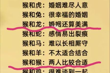 属猪男和属龙女婚姻配对天生一对还是水火不容