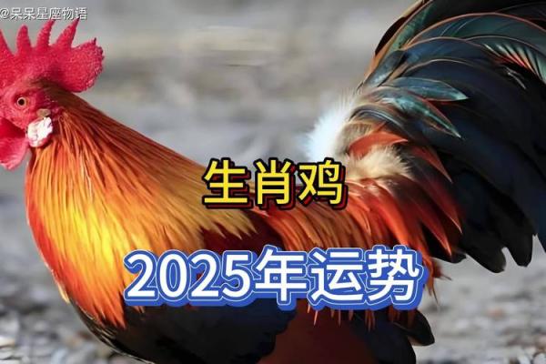 属鸡的2024年运势和财运怎么样_2024年属鸡人运势与财运全解析