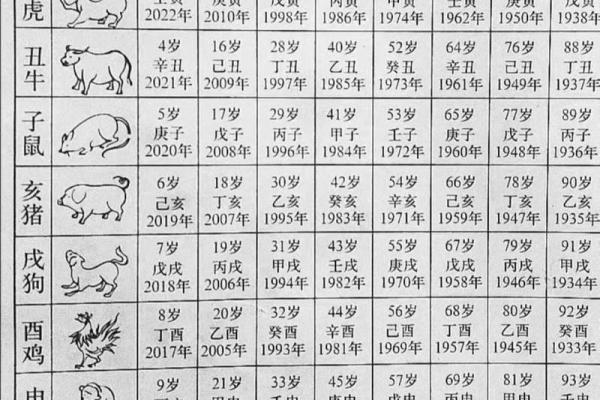 打麻将吉日表属兔的人_兔年打麻将的吉位和运程