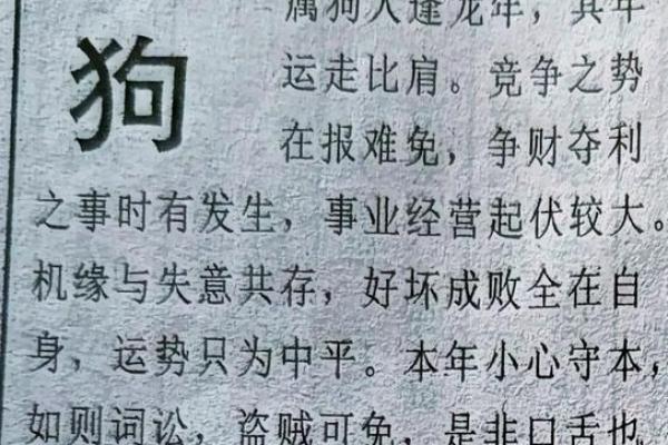 1982属狗今日运势解析财运事业感情全揭秘