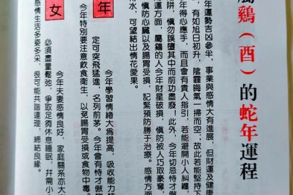 2025属鸡的五大贵人 2025年属鸡人的五大贵人助力事业与财运的关键人物