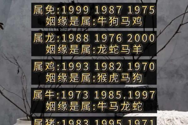 97年属牛人的姻缘_97年属牛人的姻缘预测