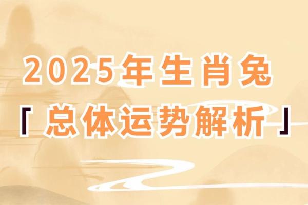 1987年属兔女2025年每月运势详解及运势提升指南