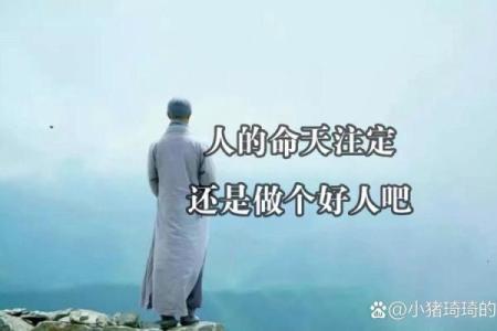 无家可归打一生肖