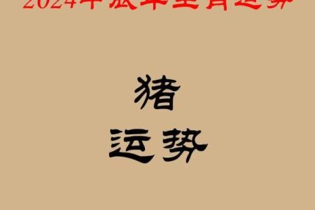 1983年属猪的2025年全年运势如何 83年属猪的2025年运势怎么样