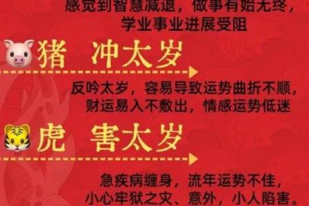 一统江山万载春指什么生肖