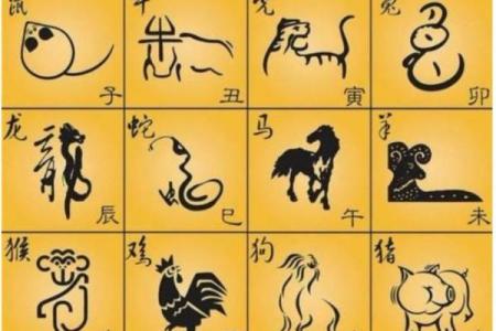 小康人家是什么生肖