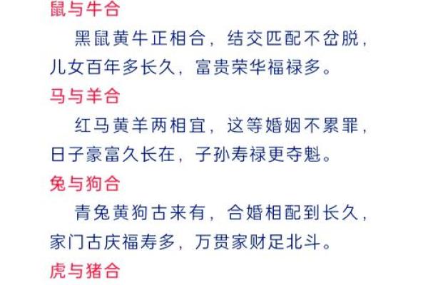 “鞭笞天下”打一准确生肖，鞭笞天下是什么生肖答案解释释义落实