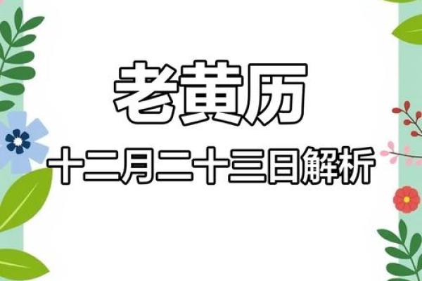 属兔2021年开工黄道吉日2月