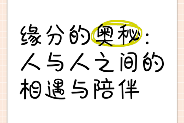 人与人之间的缘分_人与人相处的缘分