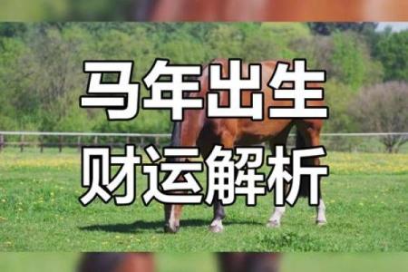 78年属马的人在2025的运势 78年马未来5年运势
