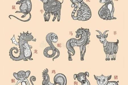 智勇双全的生肖是什么生肖